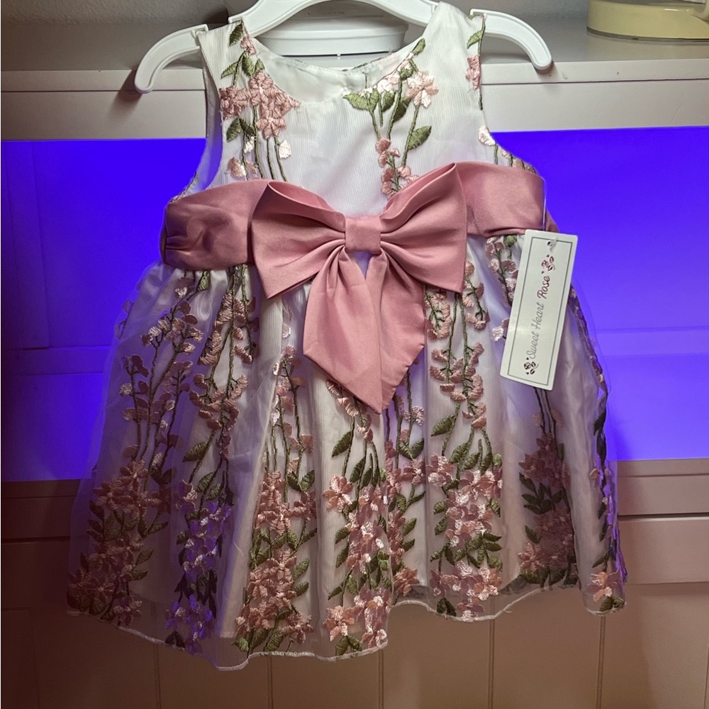 Girls Dress 6/9 months Floral Embroidered Dress with Pink Bow